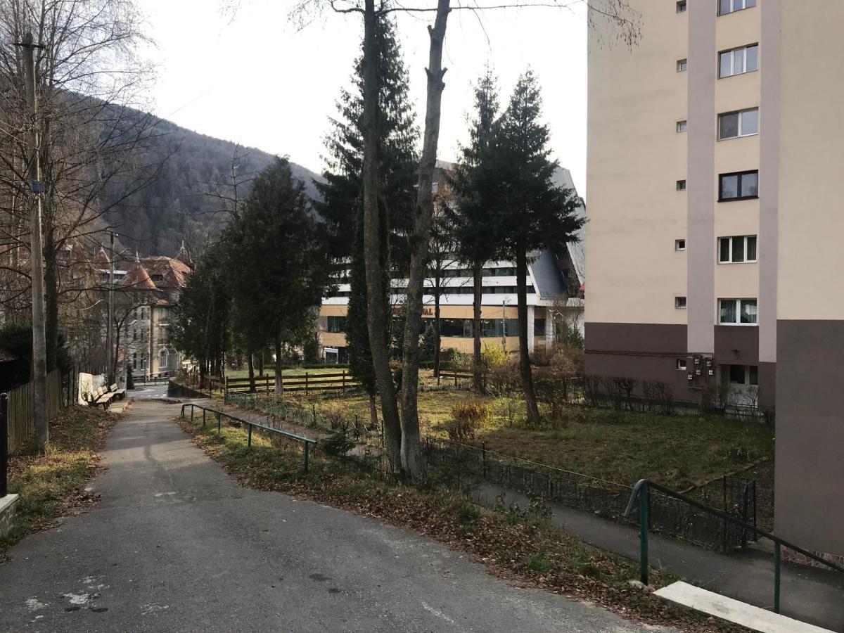 Sinaia City Center Exterior foto